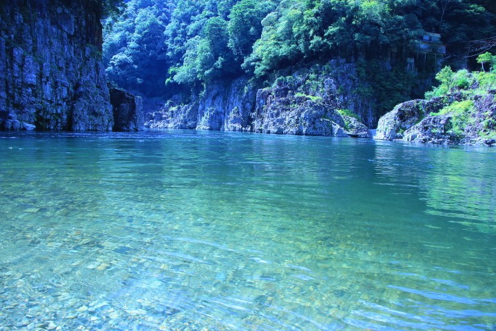 ���ʖ����̋��J�I�ҋ��i�Ҕ����j