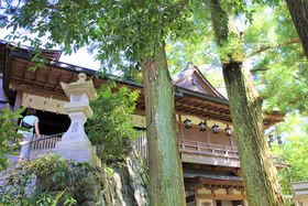 ̓{Ă΂ꂽIޗǂ̃p[X|bgV͑噞V(V͐_)̋LTlC