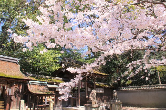 「南禅寺水路閣」から蹴上へ。京都の歴史の変遷をたどる小さな旅