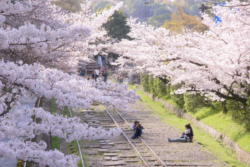桜や紅葉の名所！京都・南禅寺から水路閣、インクラインへ歴史旅