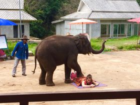 `F}Cő厩RȂAyGt@gcA[̋LTlC