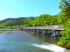 ���ߍx�̊ό��X�|�b�g10�I ���A��OK�I�X��������i���I�̋L���T���l�C��