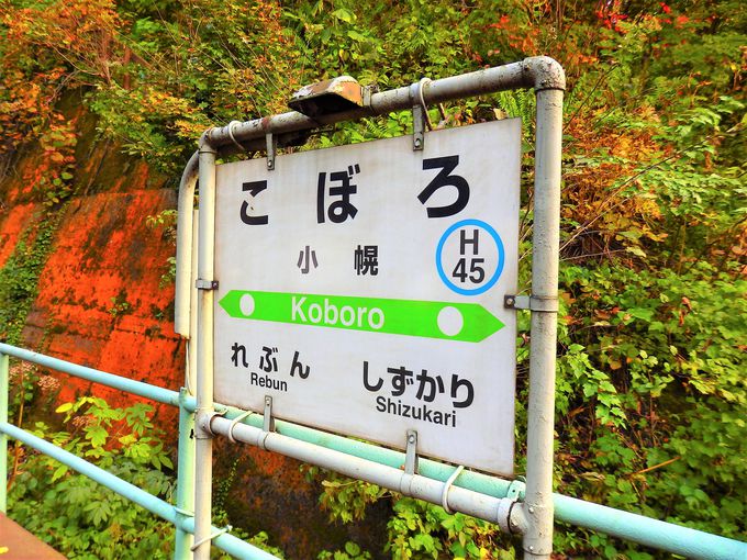 これぞ日本一の秘境駅！家なし、道なし、なぜ駅がある？