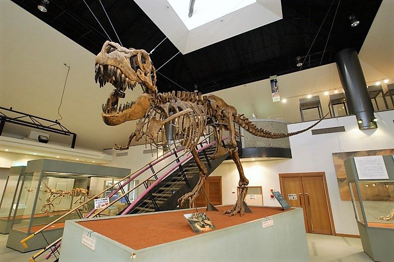 神流町恐竜センターは関東・群馬の恐竜王国！恐竜の足跡化石も！