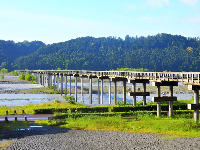 焼津と御前崎周辺のおすすめ観光スポット9選 海に山に蒸気機関車も