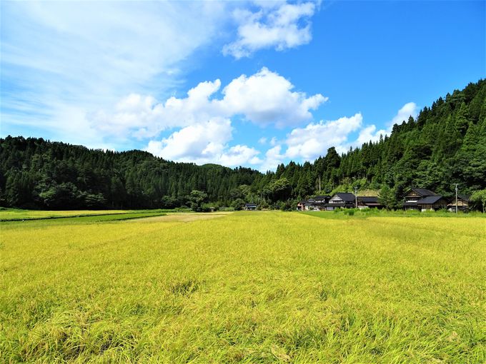 能登半島観光は絶景ドライブがおすすめ 1泊2日モデルコース 石川県 トラベルjp 旅行ガイド