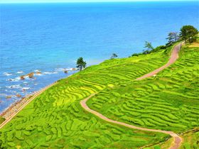 \oό͐ihCu߁I12fR[X̋LTlC