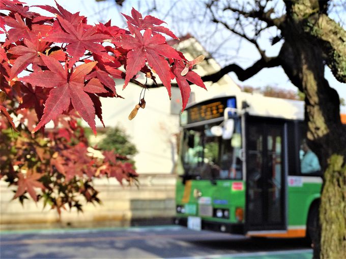 これはホントに都営バス 最長路線 梅70 が壮大すぎる 東京都 Lineトラベルjp 旅行ガイド