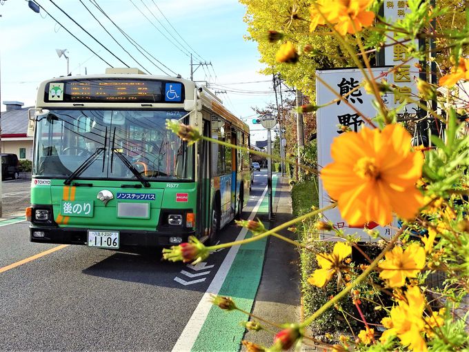 これはホントに都営バス 最長路線 梅70 が壮大すぎる 東京都 Lineトラベルjp 旅行ガイド