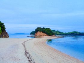 �������G���W�F�����[�h�̊y���ݕ��I���l�̐��n�͒��Ɨ[���̋L���T���l�C��