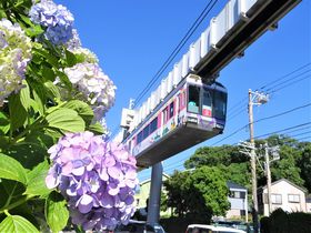 �i�j�R���H�Ó샂�m���[���������W�F�b�g�R�[�X�^�[������̋L���T���l�C��