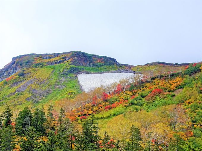 大雪山紅葉めぐり1泊2日モデルコースで気軽に絶景堪能 北海道 Lineトラベルjp 旅行ガイド