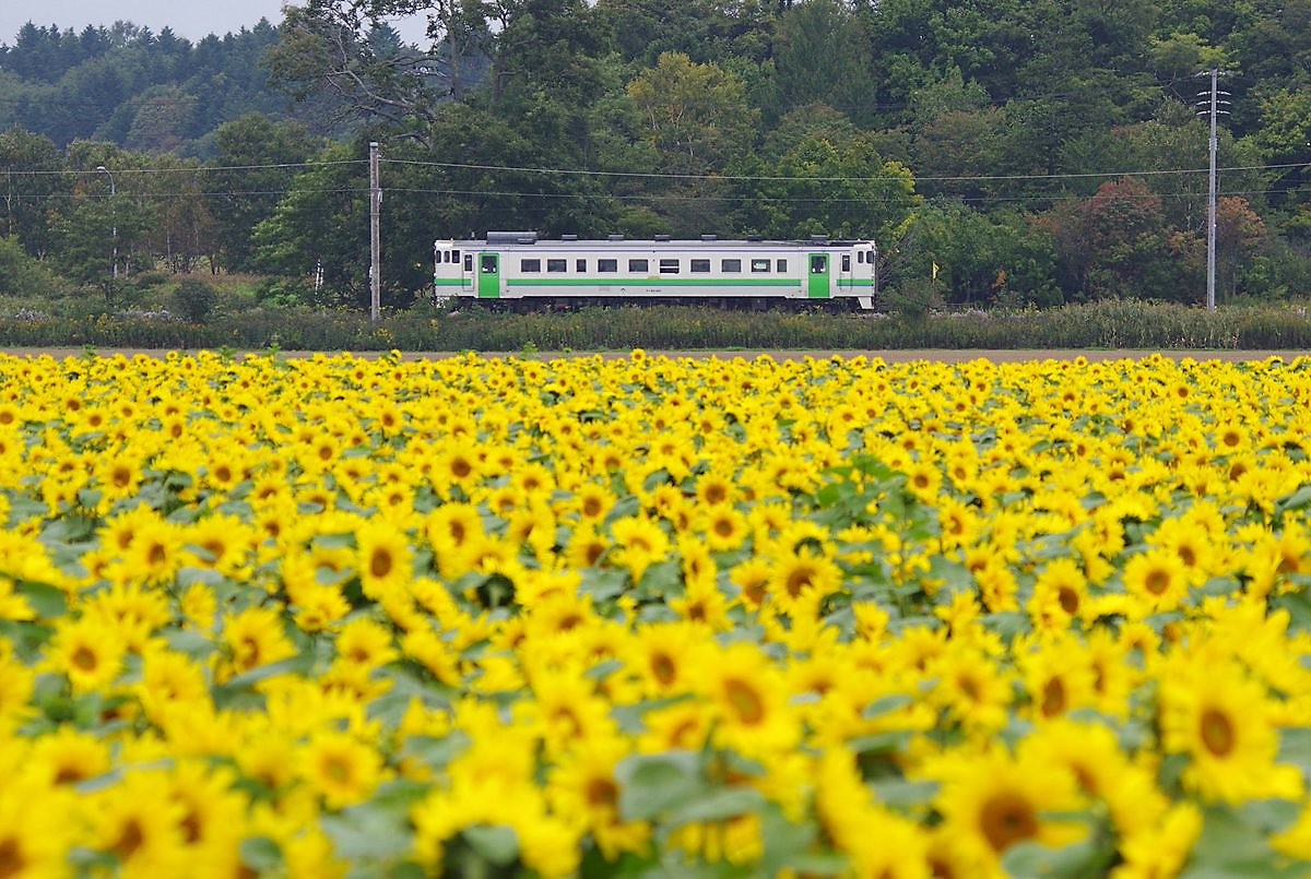 JR札沼線の一部区間廃止は2020年5月6日
