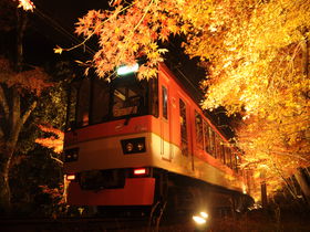 これは絶景！叡山電車「もみじのトンネル」で京都紅葉列車の旅