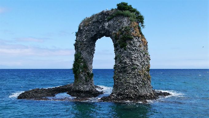 Ђ̃}híuق̏vł͂ȂuK̏v