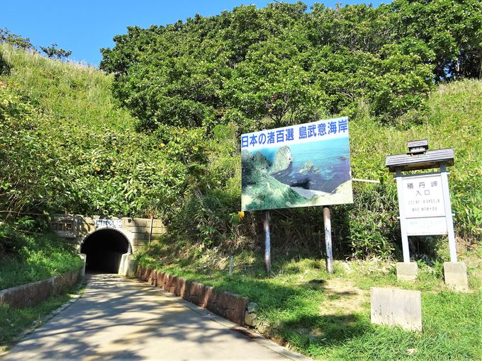 ϒOόX|bg]2@gl𔲂ӊC݂̐i