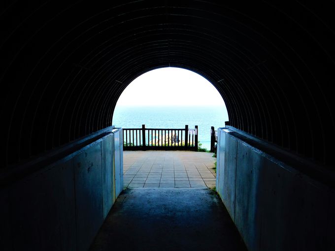 ϒOόX|bg]2@gl𔲂ӊC݂̐i