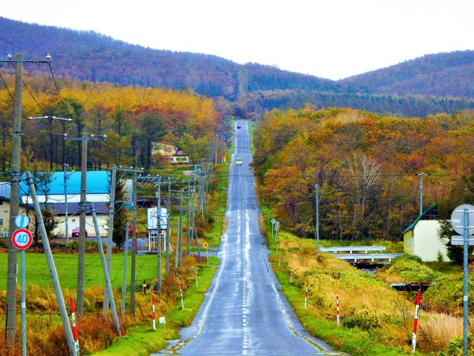 この道を行けば 天に昇るのか 知床斜里 天に続く道 北海道 トラベルjp 旅行ガイド