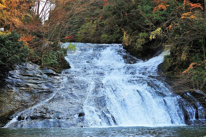 小湊鉄道を目一杯楽しもう 沿線おすすめ観光スポット３選 千葉県 Lineトラベルjp 旅行ガイド