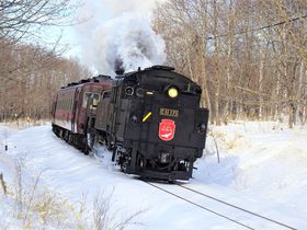 ͐^ȌzEISL~̎ŋHs̋LTlC