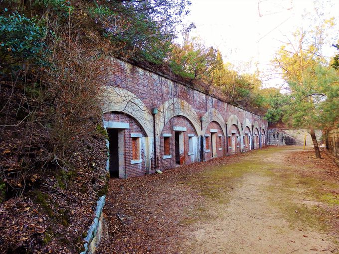 大久野島中部砲台跡は、全国で最も完全な形を残す砲台跡