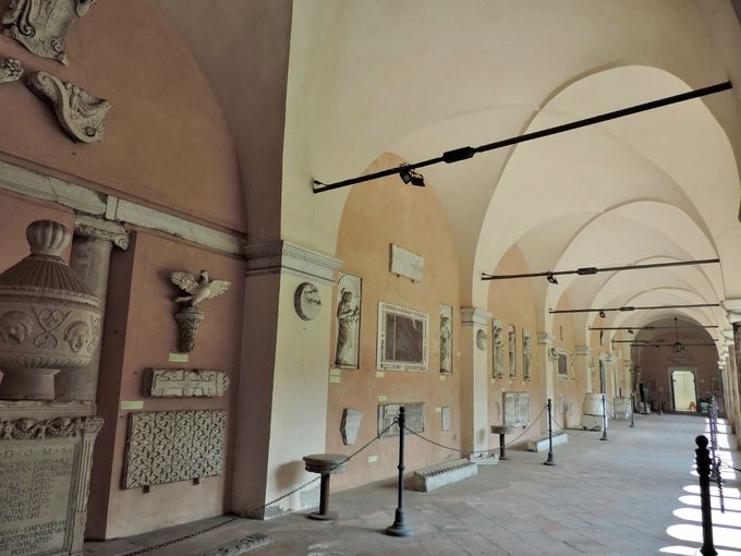 �������ށA�Â�����̏ؐl�B