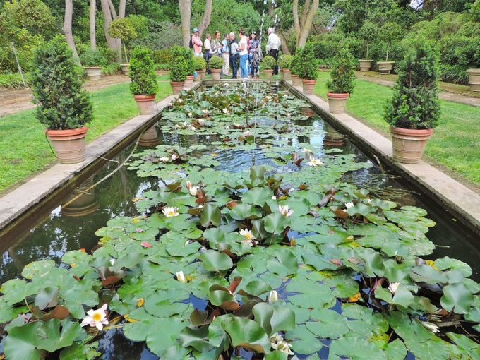 �D�����ΐF�ɐS���̂������b�N�X�I