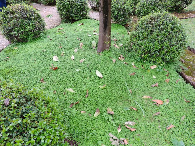 �e�[�}���Ƃɑ����̃u���b�N�ɕ��������I�Ȃ���