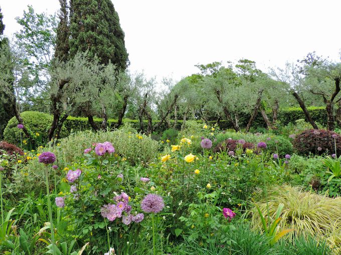 �c���̒��̃����h���A�[�i�뉀