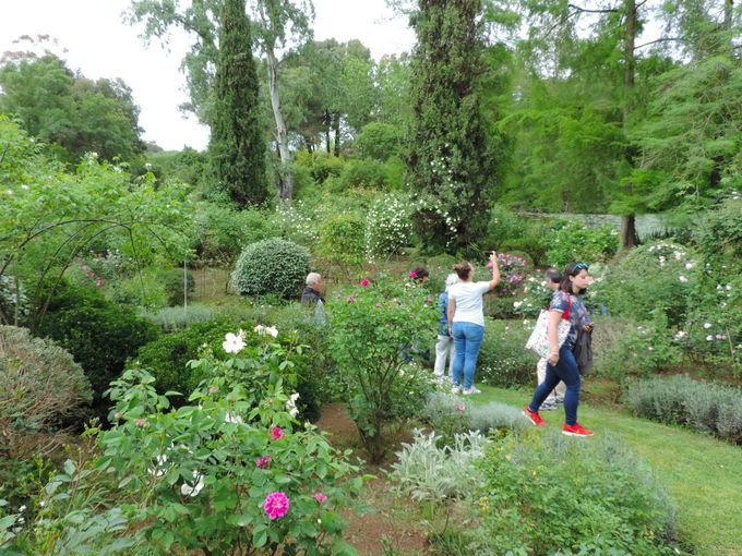 ���ԁE���i�ʐ^����̕��ɂ��������߂̒뉀�I