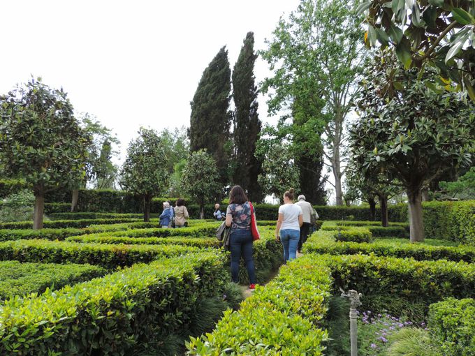 �e�[�}���Ƃɑ����̃u���b�N�ɕ��������I�Ȃ���