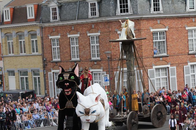 三年に一度のベルギー イーペルの 猫祭り その楽しみ方と攻略法 ベルギー トラベルjp 旅行ガイド