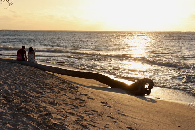 ŌɃze̔蕨I̔R̃r[`Љ܂傤