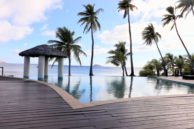 lq܂Ŋy߂v[⌻nׂ̈̃`yI