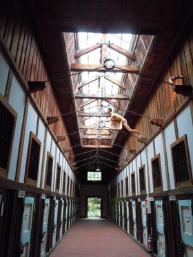 SUI{LȌYu ԑčvyނT̃|Cg̋LTlC