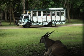 �����Ƀv�[���ɃV���[!!�\�����V�ׂ�o���T�t�@�����}�����p�[�N�̋L���T���l�C��