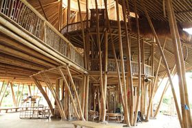 ���E�Ő�[�̃G�R�X�N�[���A�o�����u�O���[���X�N�[���v�ŃG�R�̌��I�̋L���T���l�C��