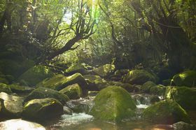 EYuvv23ŁI̊όfR[X̋LTlC