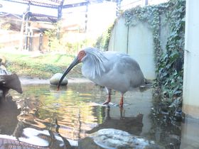 gLQZ`̎ߋŊώ@InugL̐Xv̋LTlC