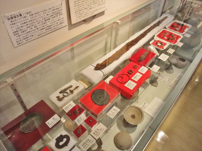 Iv̗j̊BuxÂӂ邳ƓWv