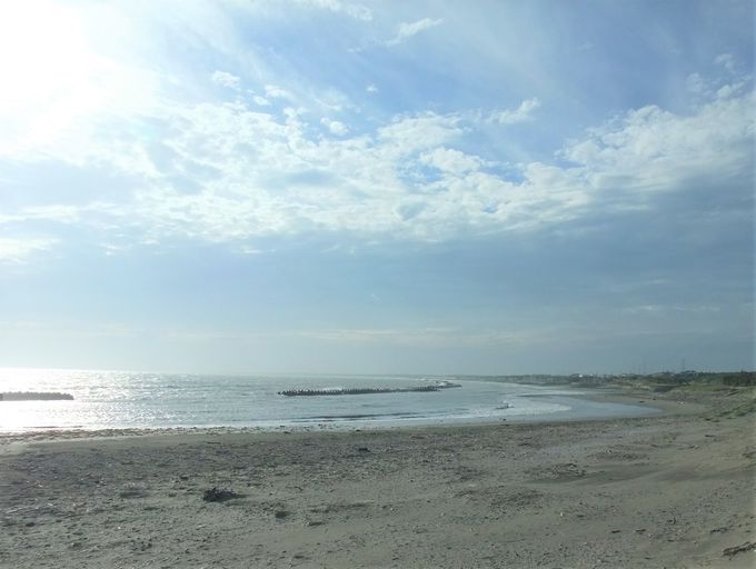 xÂ̗RƂ́HukPiIg^`oiqjv̑