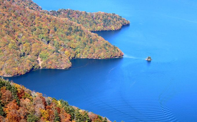 中禅寺湖を上から眺める！八丁出島の美しさ