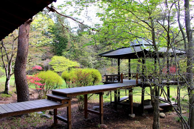 日光の知られざる名庭園を限定公開！「松屋敷」