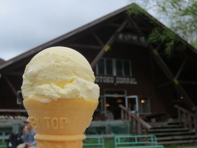 １０．コートクコラールのアイスクリーム(光徳牧場)