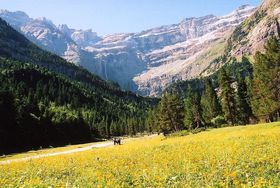 ���E���E��Y�I�s���l�[�u�K���@���j�[���J�v�փn�C�L���O�I�̋L���T���l�C��