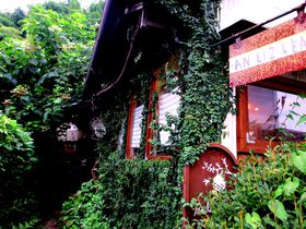 �����E�}�N���r�t�����`�x�W�^���A���u�A�������v�I�l�R���h�̖��X�Ŗ�؂̔��������𖡂킢�s�������I�̋L���T���l�C��