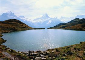 �A���v�X�̕�΁I�X�C�X�E�����O�t���E�n���u�o�b�n�A���v�΁v�֐�i�n�C�L���O�I�̋L���T���l�C��