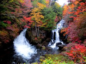 ōgt聕GρIu`ꃖ`̑vinCLŐLTlC