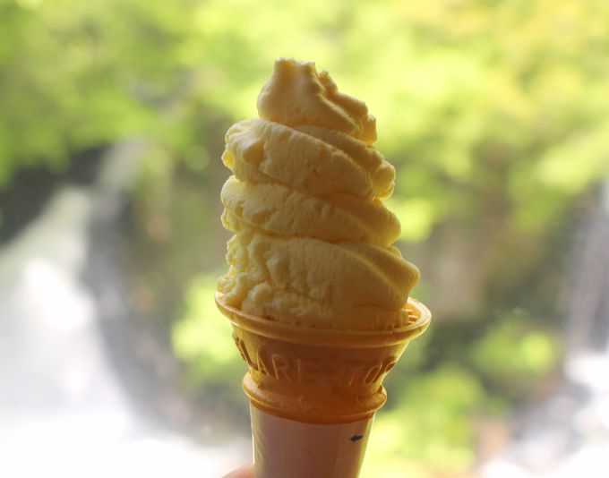 最後のシメは栃木名物「レモン牛乳」のソフトクリーム！