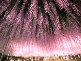 �t�����[�p�[�N�Ƃ��킹�čs�������I�����s�̂�������10�X�|�b�g